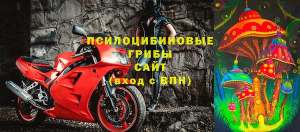 эйфоретик Алзамай