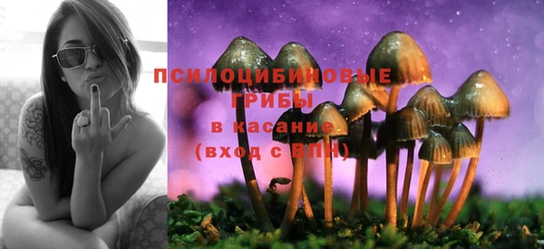 эйфоретик Алзамай