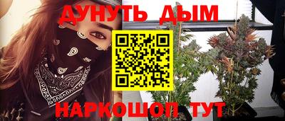 прущие грибы Шелехов