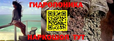 прущие грибы Шелехов