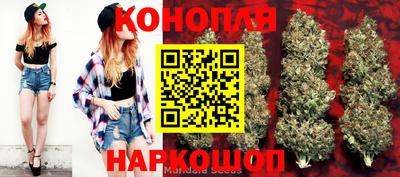 прущие грибы Шелехов