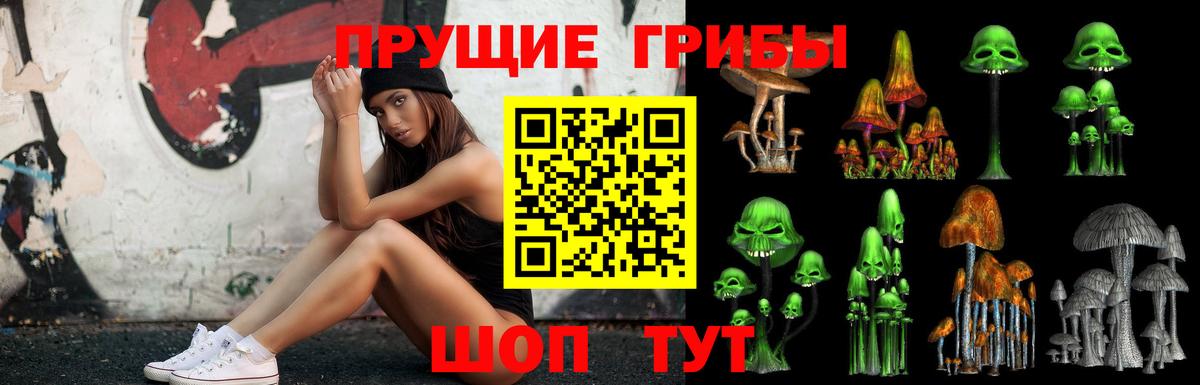 Галлюциногенные грибы Psilocybine cubensis  Вход с VPN  Псилоцибиновые грибы ЛСД  Аргун 